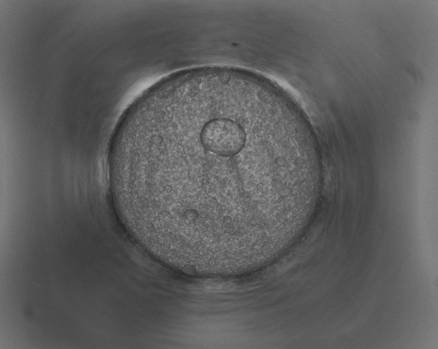 X0000116481271200912292039