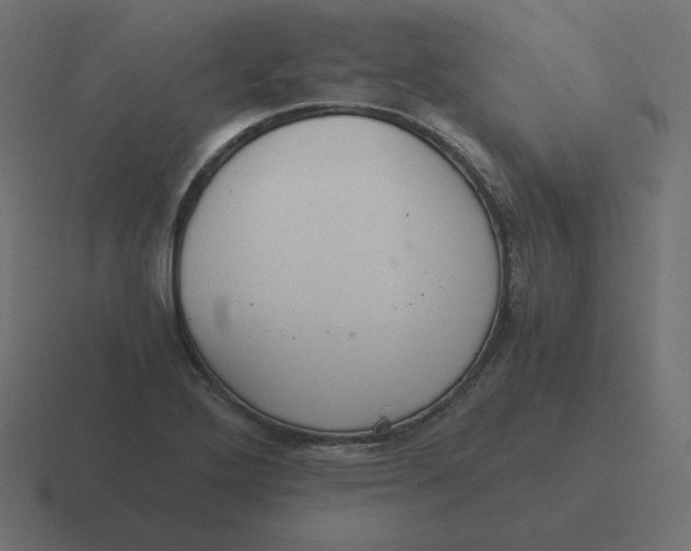 X0000116481272200912292039