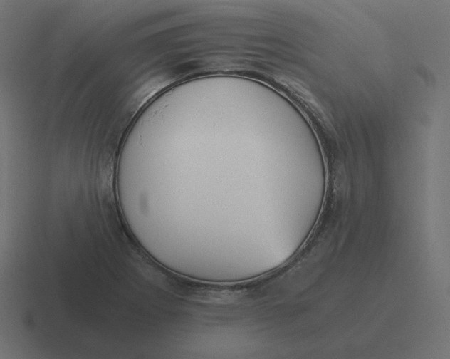 X0000116481273200912292039