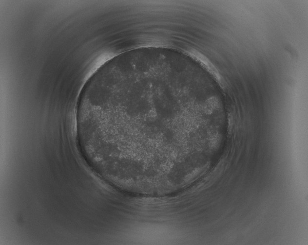 X0000116481274200912292039