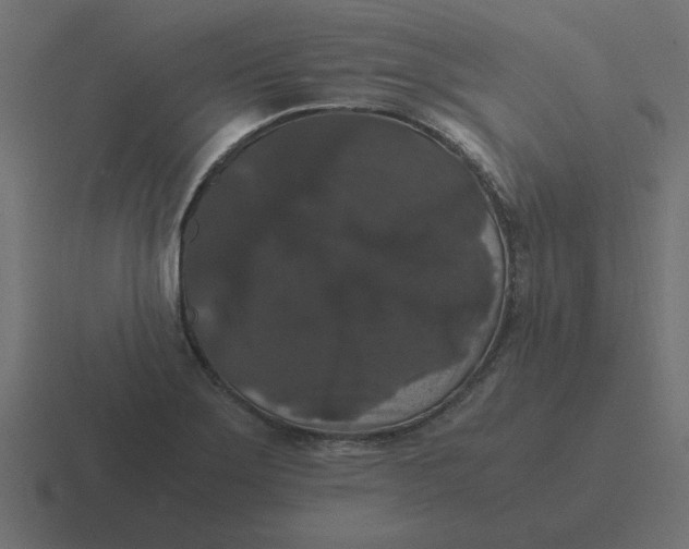 X0000116481275200912292039