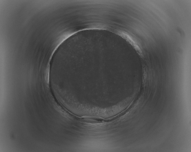 X0000116481276200912292039