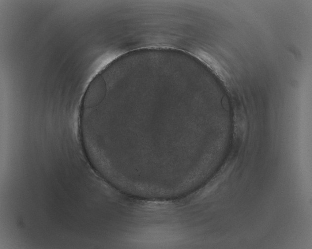 X0000116481277200912292039