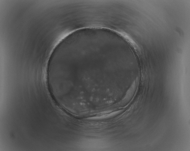 X0000116481279200912292039