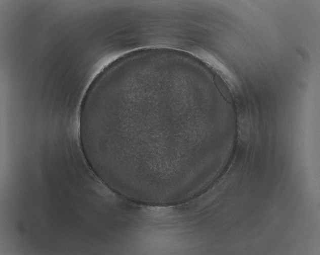 X0000116481280200912292039