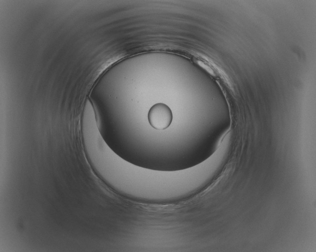 X0000116481281200912292039