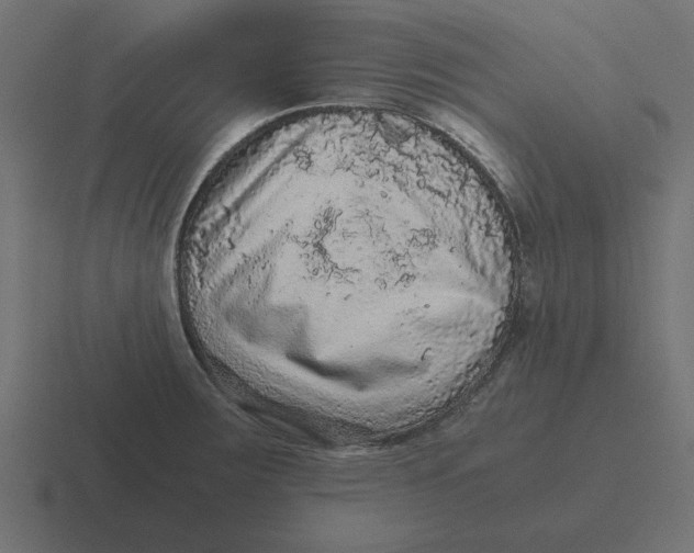 X0000116481283200912292039