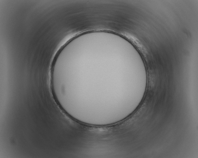 X0000116481286200912292039