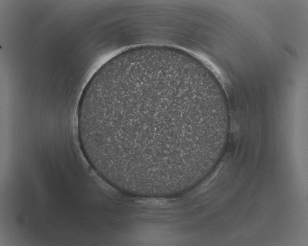 X0000116481287200912292039