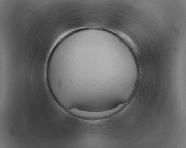 X0000116481288200912292039