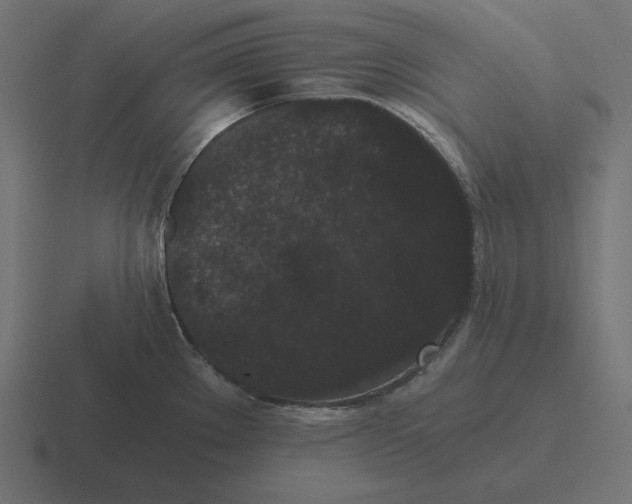 X0000116481289200912292039