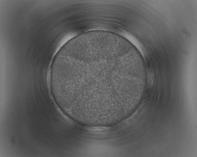 X0000116481290200912292039