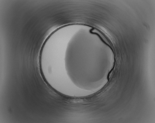 X0000116481291200912292039