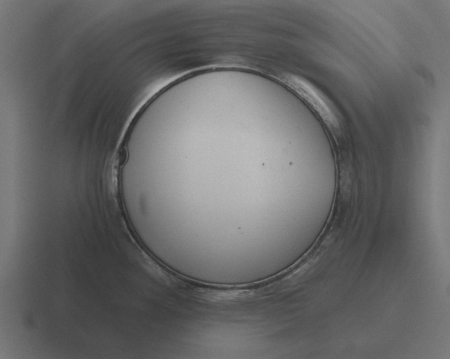 X0000116481292200912292039