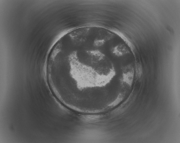 X0000116481294200912292039