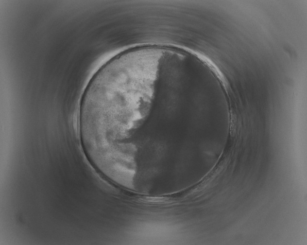 X0000116481295200912292039