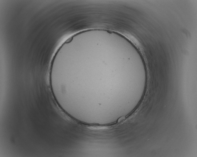 X0000116481296200912292039