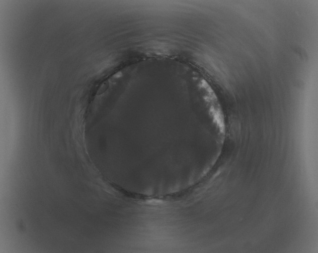 X0000116481297200912292038