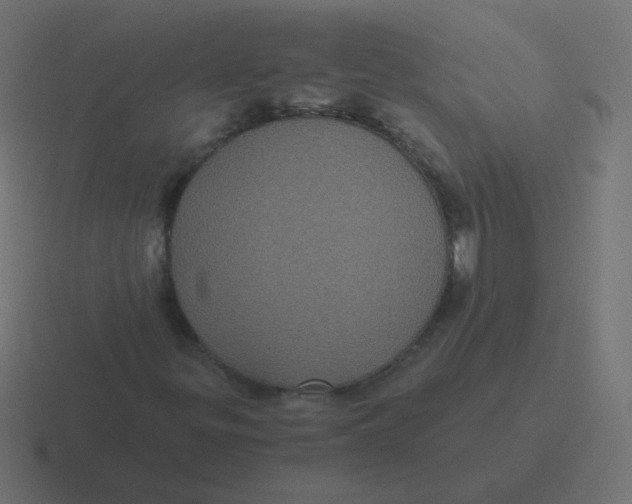 X0000116481299200912292038