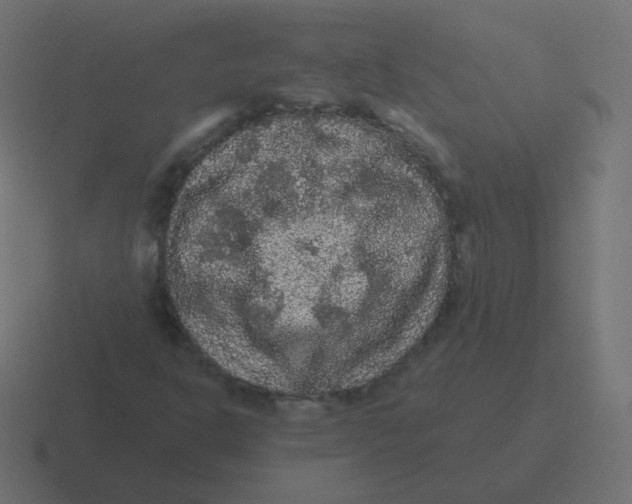 X0000116481302200912292038