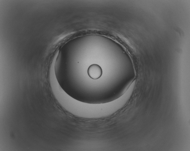 X0000116481303200912292038