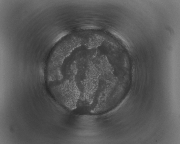 X0000116481305200912292038