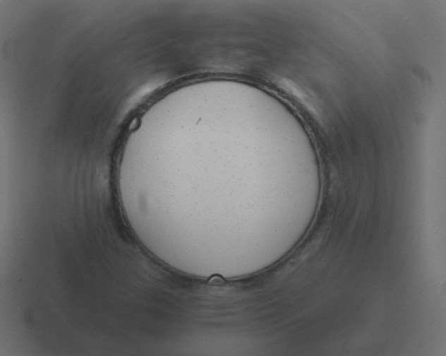 X0000116481307200912292038