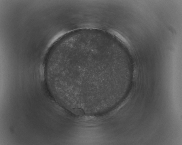 X0000116481310200912292038