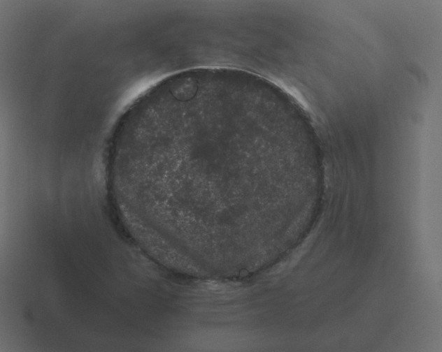 X0000116481311200912292038