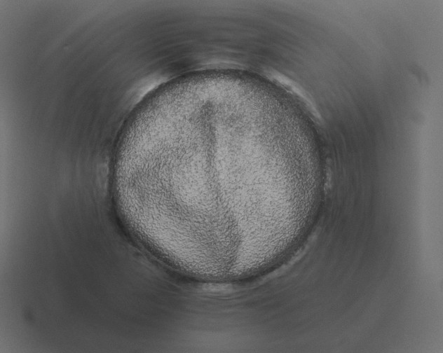 X0000116481313200912292038