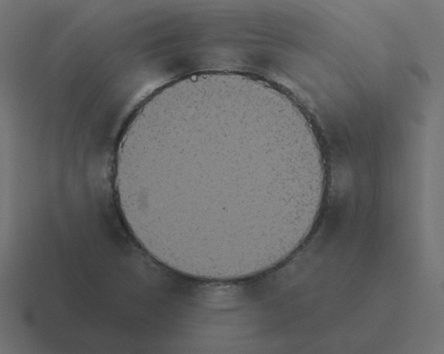 X0000116481314200912292038