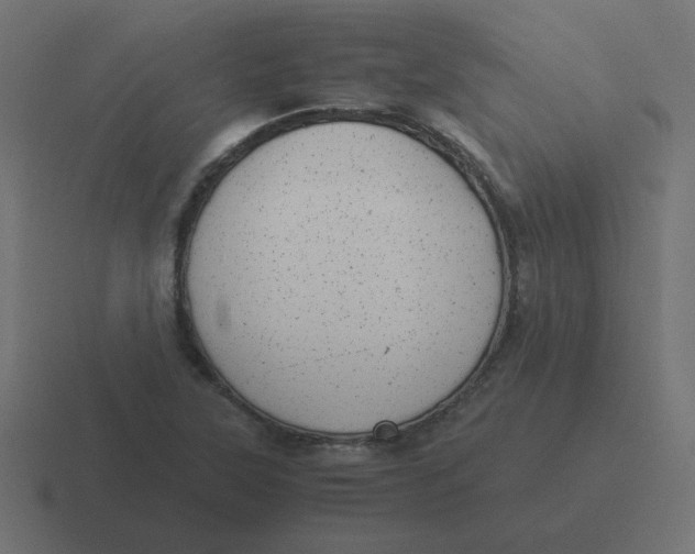 X0000116481315200912292038