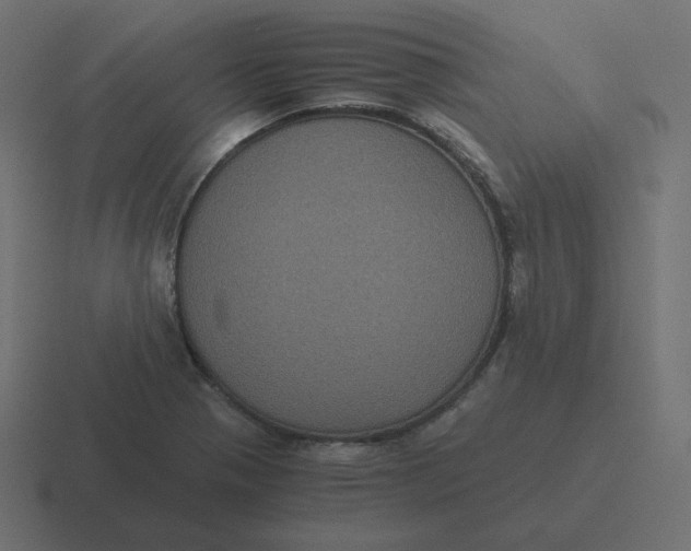 X0000116481321200912292038