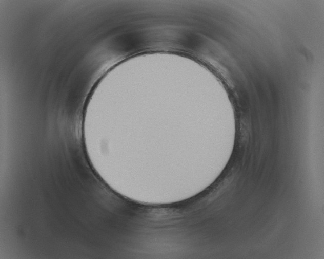 X0000116481322200912292038