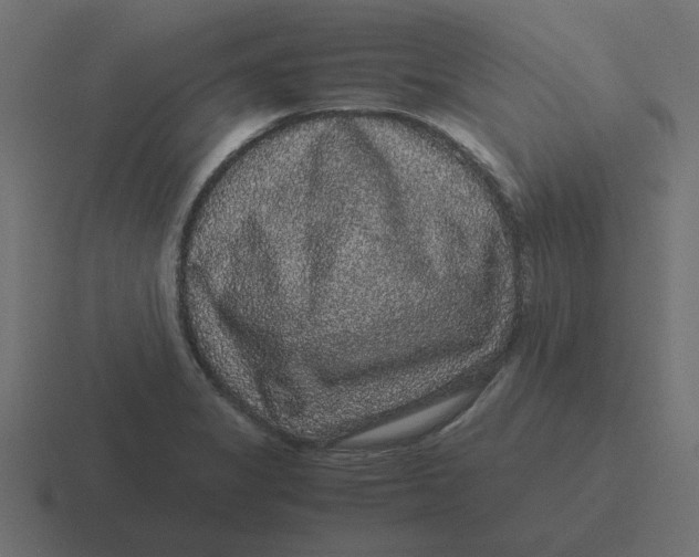 X0000116481325200912292038