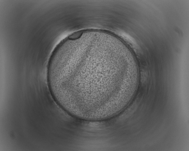 X0000116481326200912292038