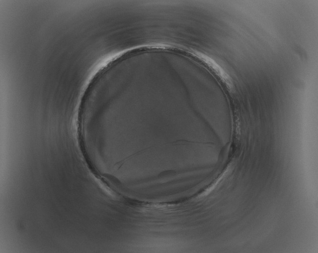 X0000116481327200912292038