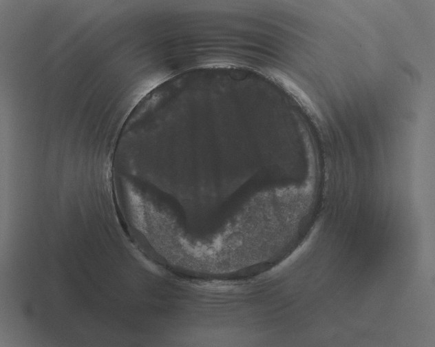 X0000116481329200912292038