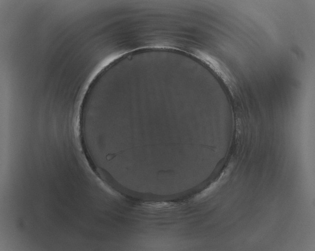 X0000116481331200912292038