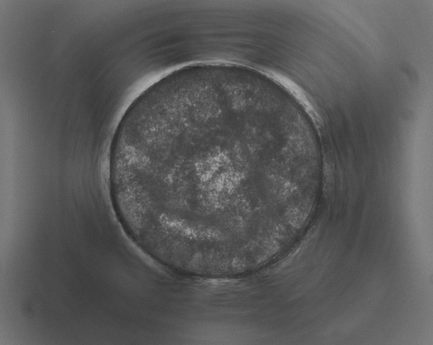 X0000116481335200912292038