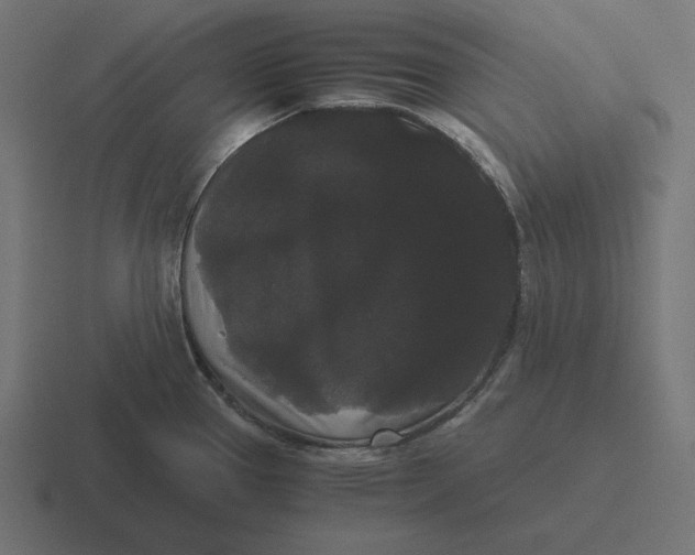 X0000116481337200912292038