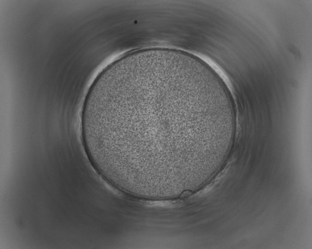 X0000116481341200912292039