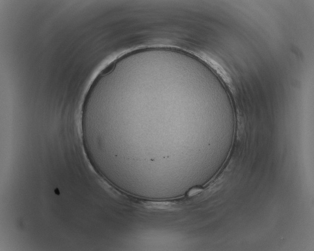 X0000116481342200912292039