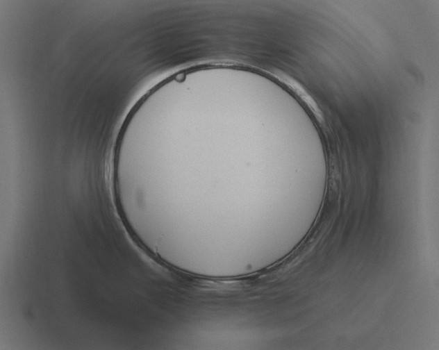 X0000116481343200912292039