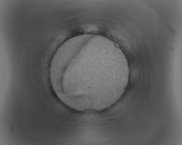 X0000116481345200912292038