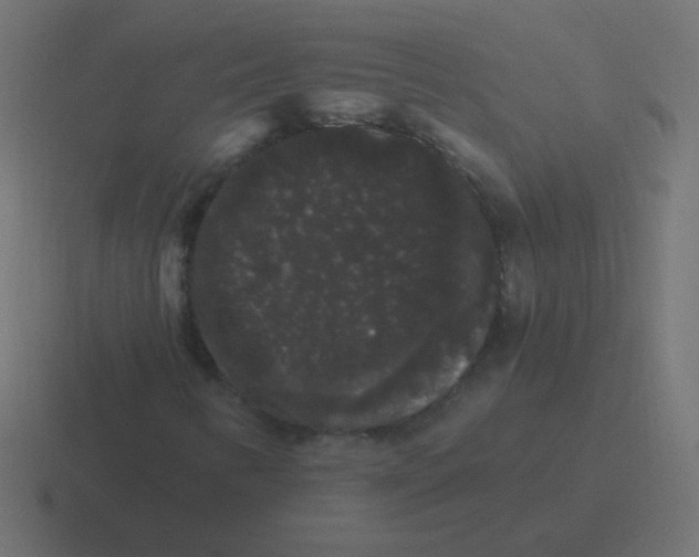 X0000116481346200912292038