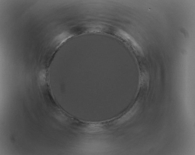 X0000116481353200912292038