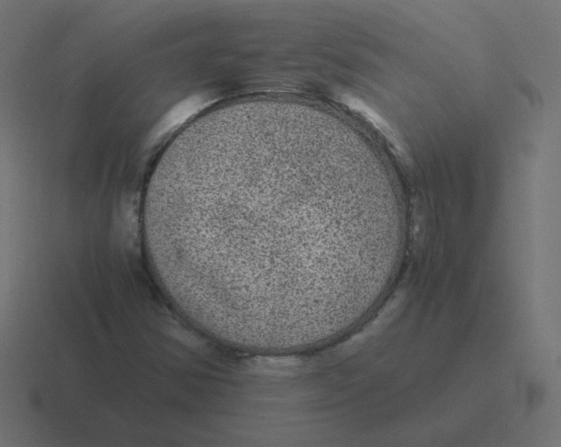 X0000116481354200912292038