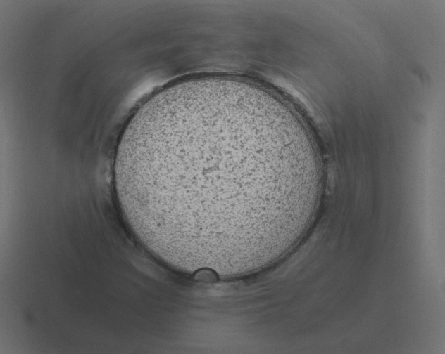 X0000116481355200912292038