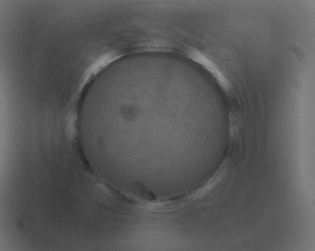 X0000116481357200912292038